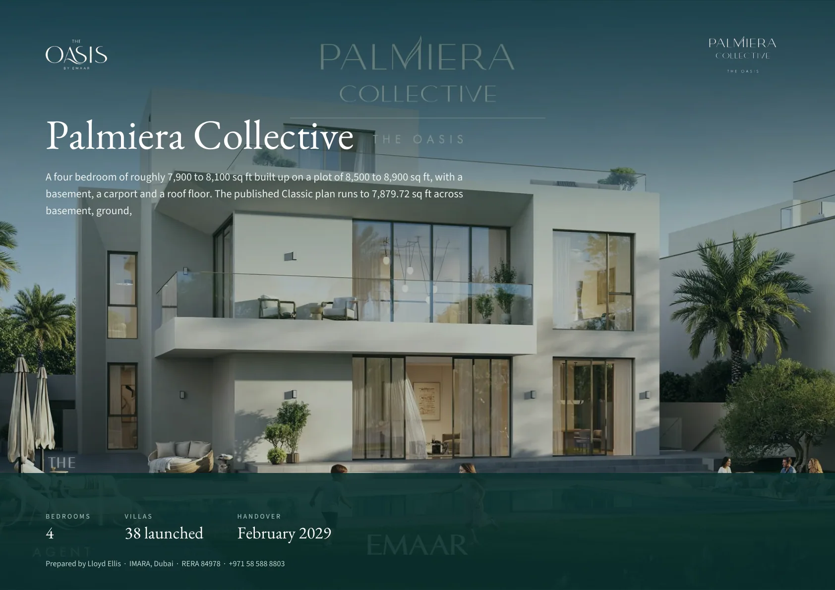 Palmiera Collective brochure cover