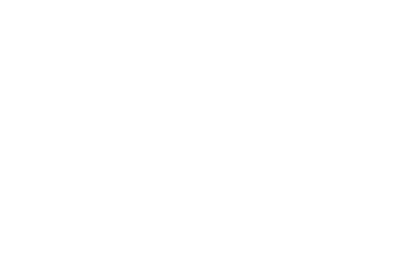 The Oasis Agent