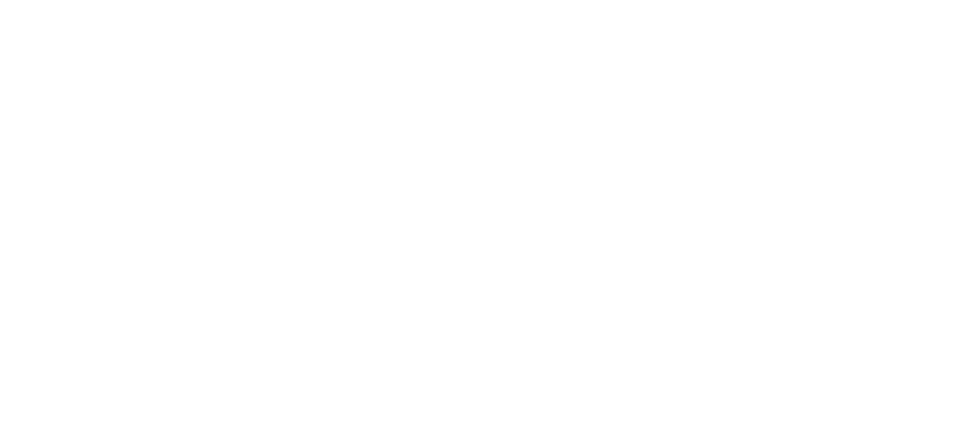 Palmiera Collective